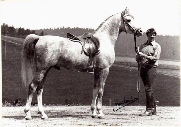 caballos más caros