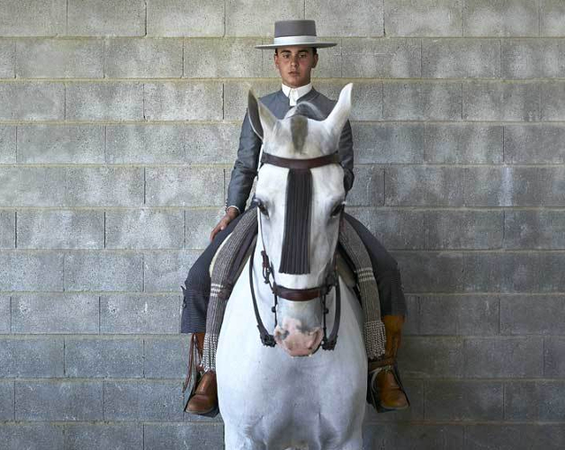 que es la doma de caballos