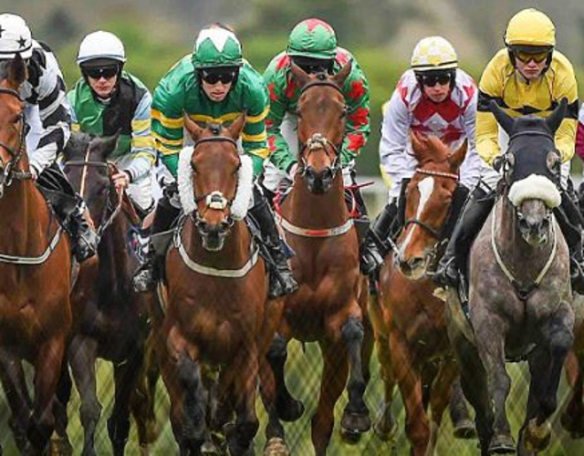 apuestas de caballos como funcionan