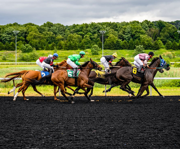 reglas de las apuestas de caballos