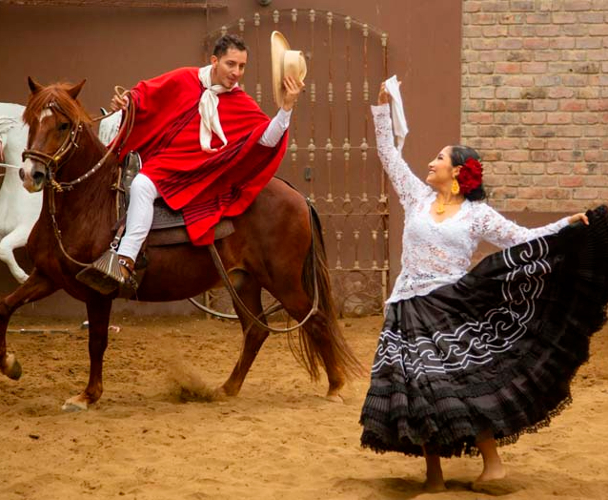 caballo de paso peruano historia
