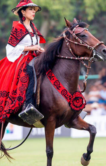 caballos peruanos