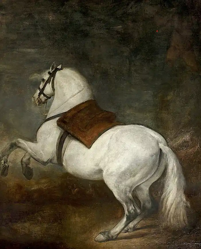 caballo blanco velazquez (1) caballo blanco de velazquez